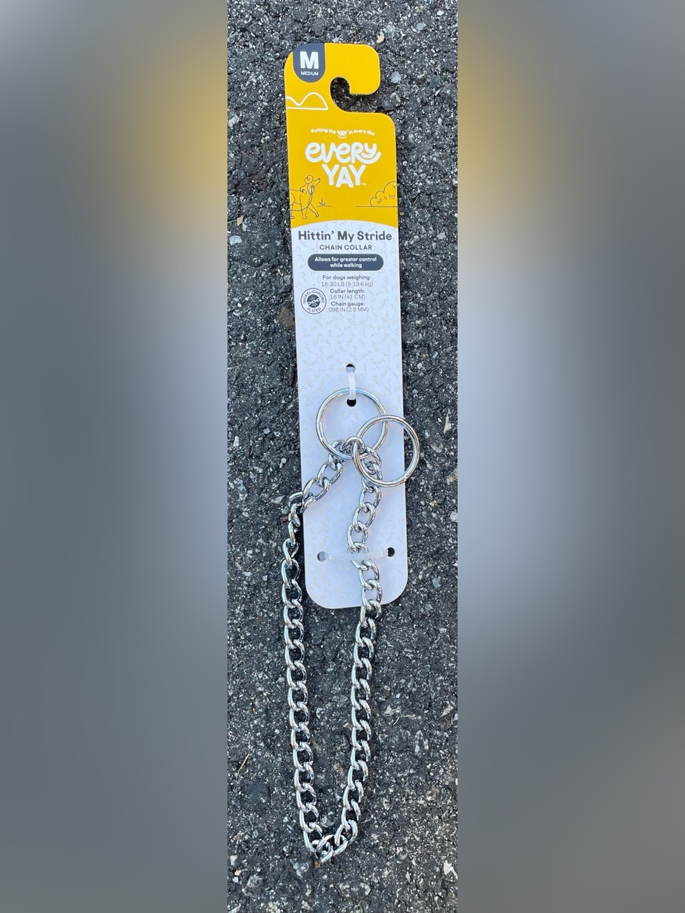 New Hittin' My Stride Silver Chain Dog Collar - Medium